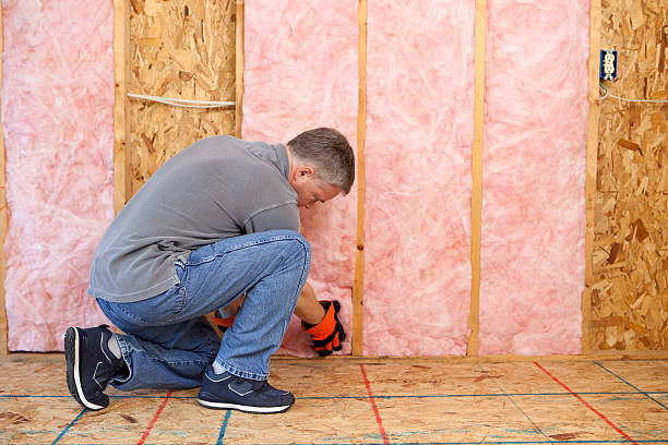 Best Insulation for Specific Applications in Iceville, AL